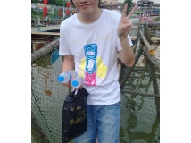 无耻的。。。自报一下。。。